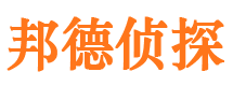 隆子寻人公司